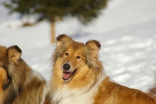 Fotos f. Homepage Galerie 032